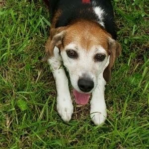 Meet your Posher, Rachelle